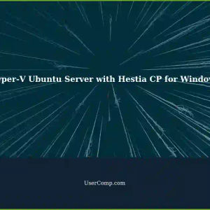 Setting up a Ubuntu Server on Hyper-V with Hestia CP for Windows Hosts
