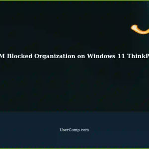 Troubleshooting IDM on Windows 11 ThinkPad Laptop: Blocked Organization Issue