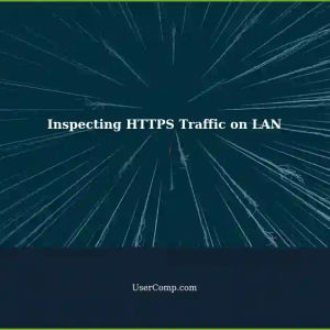 Inspecting HTTPS Packets on Personal LAN for Closed-Source Applications