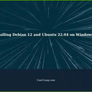 Installing Debian 12 Alongside Ubuntu 22.04 on Windows 11