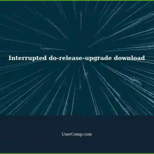 Interrupted do-release-upgrade: Unable to download 23.10 24.04