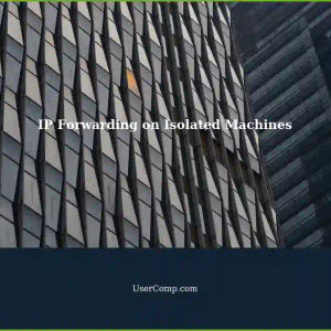 IP Forwarding: Does it Actually Work on Isolated Machines with Two Wired Networks?