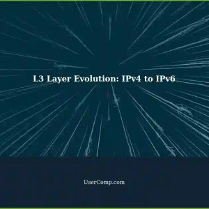 Understanding the Evolution of L3 Layer: From IPv4 to IPv6