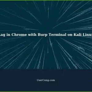 Troubleshooting Lag in Chrome with Burp Terminal on Kali Linux i7-13700K