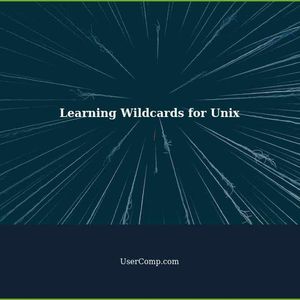 Learning Wildcards for New Unix Users
