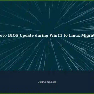 Updating BIOS on Lenovo Laptop while Migrating from Win11 to Linux OS