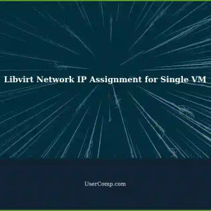 Automatically Assign Proper IP Addresses in Libvirt Network for Single VM