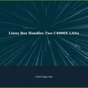 Handling Two C4000X Giganet LANs via One Ethernet Port on a Linux Box