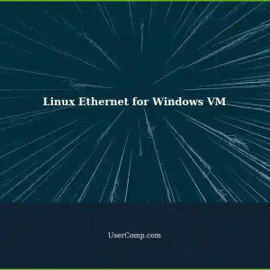 Connecting a Linux Laptop to the Internet via Ethernet for Windows VM