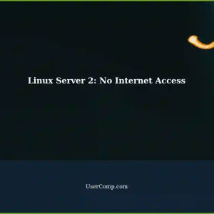 Linux Server 2: No Internet Access - Troubleshooting with Linux Gateway