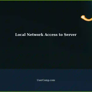 Enabling Local Network Access to a Server via Domain Name