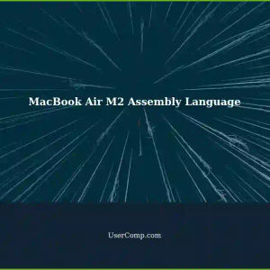 MacBook Air (M2, 2022) - Identifying the Used Assembly Language