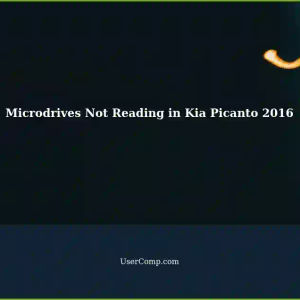 Microdrives Not Reading in Songkar's Kia Picanto 2016: Error and Format Solutions