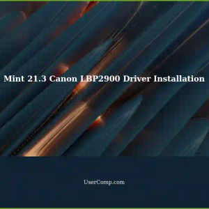 Mint 21.3: No One Installed Canon LBP2900 Printer Driver?