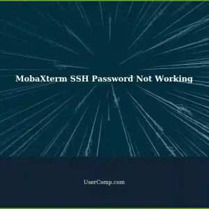 MobaXterm: Unable to Paste SSH Password in Dropbear-initramfs