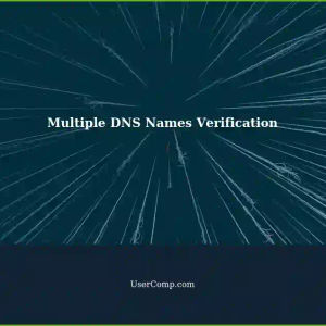 Certifying Multiple DNS Names: What Else is Required for Correct Verification?
