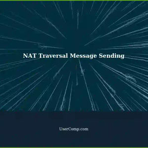 Central Server: Sending Messages to Clients with NAT Traversal using RFC