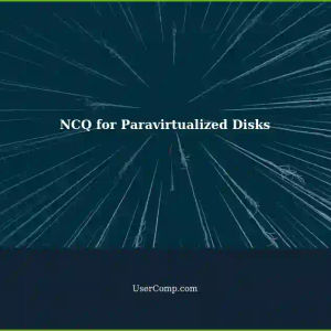 NCQ Support for Paravirtualized Disks in VMware, VirtualBox, and XEN/KVM