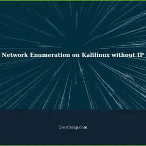 Full Network Enumeration on Kalilinux without Assigned IP Address