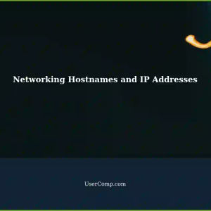 Understanding Networking: Sensible Meaning of Hostnames and IP Addresses