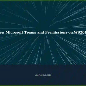 New Microsoft Teams and Windows Apps Permissions on Windows Server 2019 for VDI Infrastructure