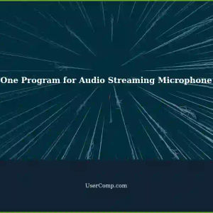 Getting Started with One Program for Audio Microphone Input Streaming
