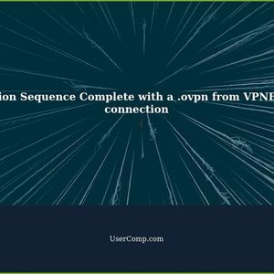 OpenVPN Initialization Sequence Complete with a .ovpn from VPNBook but no Internet connection