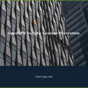 Understanding OpenVPN Scripts: Preventing Leakage and Reverse Connections