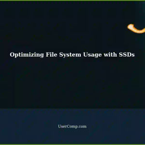 Optimizing File System Usage with SSDs: A Cross-Platform Comparison for Linux, Windows, and Software Development