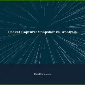 Capturing Packets: Differences between Snapshots and Analysis of Different Packets