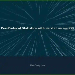 Getting High-Level Per-Protocol Statistics with netstat on macOS for IPv4/IPv6