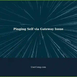 Troubleshooting: Pinging Self via Gateway - Connection Issue