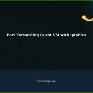 Setting Port Forwarding for Guest VM using iptables: A Proof of Concept