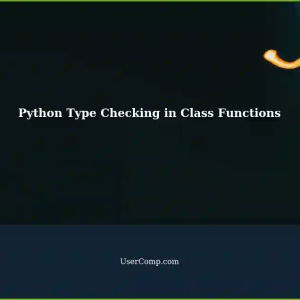 Understanding Type Checking in Python Class Member Function Arguments