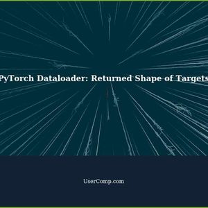 Understanding the Returned Shape of Targets in PyTorch Dataloader