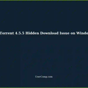 QBitTorrent 4.5.5: Hidden Downloads Not Queuing on Windows 7