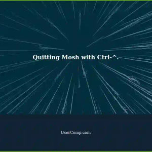 Successfully Quitting Mosh: Ctrl-^. Key Combination