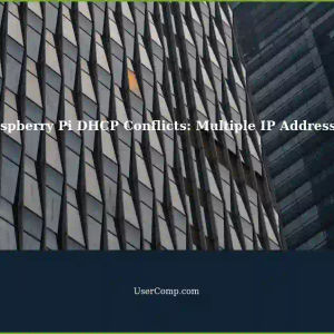 Raspberry Pi Getting Multiple IP Addresses: DHCP Conflicts