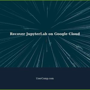 Recovering JupyterLab on Google Cloud Vertex AI Workbench after Shutdown: A Guide