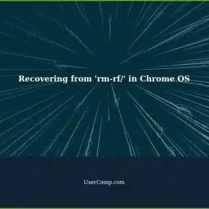 Recovering from an Accidental 'rm-rf/' Command in Chrome OS