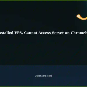 Cannot Access Server After Reinstalling VPS on Chromebook with Linux