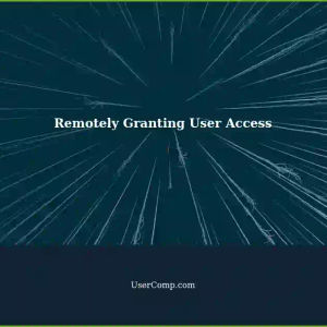 Remotely Granting User-Specific Access and Execution Permissions