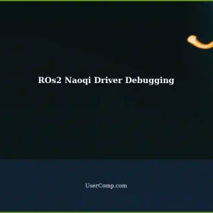 Debugging ROs2 Command: Installed Naoqi Driver on Windows 10