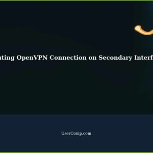 Routing OpenVPN Connection on Secondary Interface