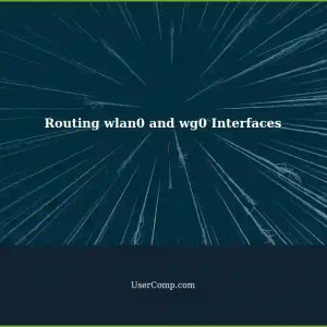 Routing Traffic Between Different Table/Backend Interfaces: wlan0 and wg0