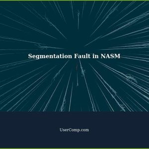 Segmentation Fault Code: Troubleshooting NASM Assembly Issues