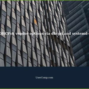 Sending DHCPv6 vendor options via dhcpd and receiving via systemd-networkd DHCPv6 client