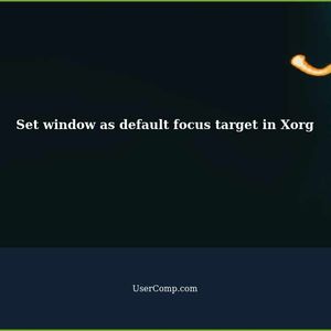 Set window as default focus target in Xorg (no window manager)