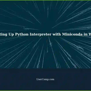 Using Miniconda in WSL: Setting Up Python Interpreter