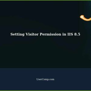 How to Set Visitor Permission Only on Current Site in IIS 8.5